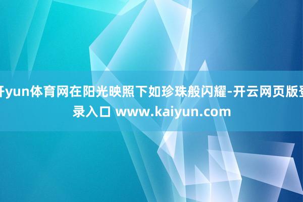 开yun体育网在阳光映照下如珍珠般闪耀-开云网页版登录入口 www.kaiyun.com