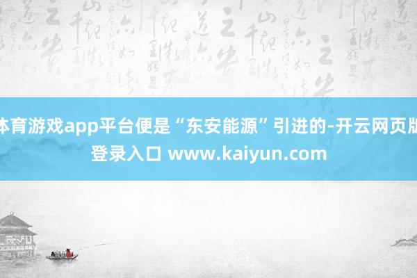 体育游戏app平台便是“东安能源”引进的-开云网页版登录入口 www.kaiyun.com