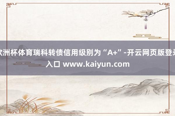欧洲杯体育瑞科转债信用级别为“A+”-开云网页版登录入口 www.kaiyun.com