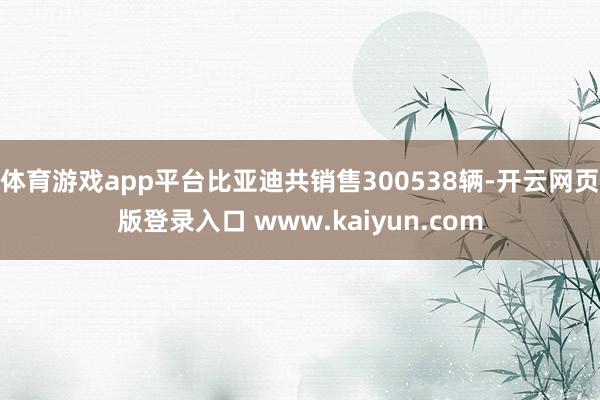 体育游戏app平台比亚迪共销售300538辆-开云网页版登录入口 www.kaiyun.com