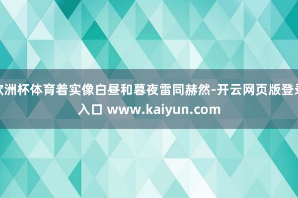 欧洲杯体育着实像白昼和暮夜雷同赫然-开云网页版登录入口 www.kaiyun.com