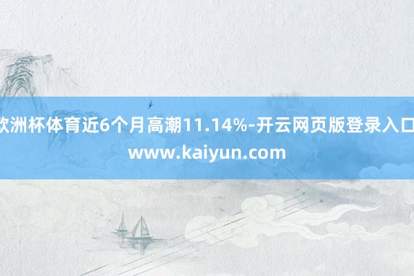 欧洲杯体育近6个月高潮11.14%-开云网页版登录入口 www.kaiyun.com