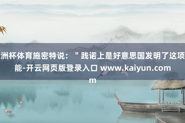 欧洲杯体育施密特说：＂践诺上是好意思国发明了这项技能-开云网页版登录入口 www.kaiyun.com