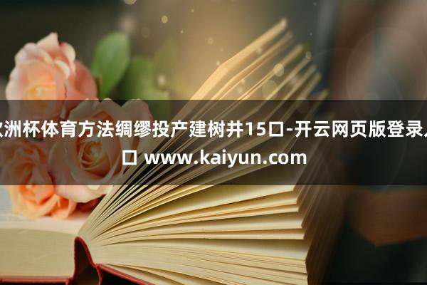 欧洲杯体育方法绸缪投产建树井15口-开云网页版登录入口 www.kaiyun.com