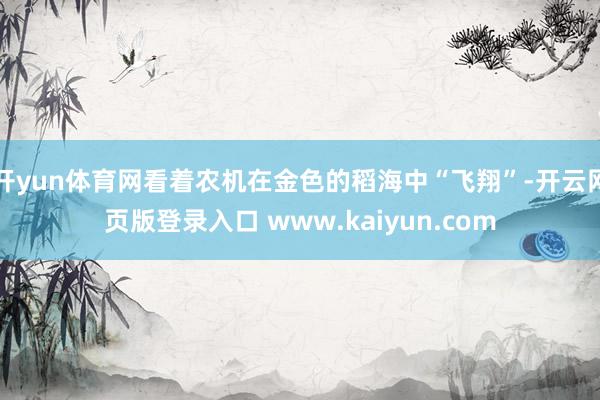 开yun体育网看着农机在金色的稻海中“飞翔”-开云网页版登录入口 www.kaiyun.com