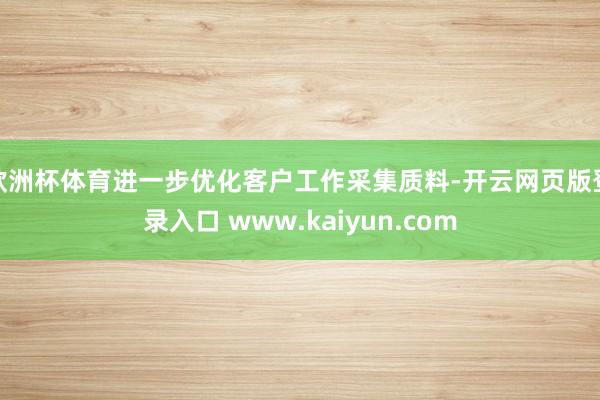 欧洲杯体育进一步优化客户工作采集质料-开云网页版登录入口 www.kaiyun.com