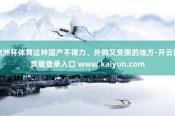 欧洲杯体育这种国产不得力、外购又受限的地方-开云网页版登录入口 www.kaiyun.com