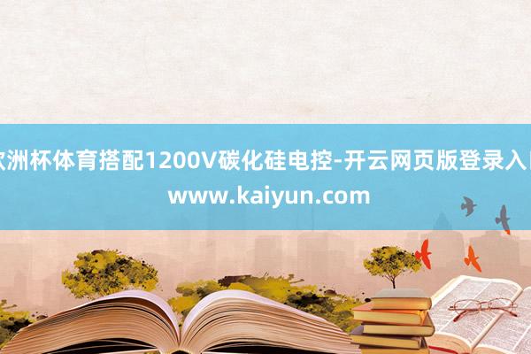 欧洲杯体育搭配1200V碳化硅电控-开云网页版登录入口 www.kaiyun.com