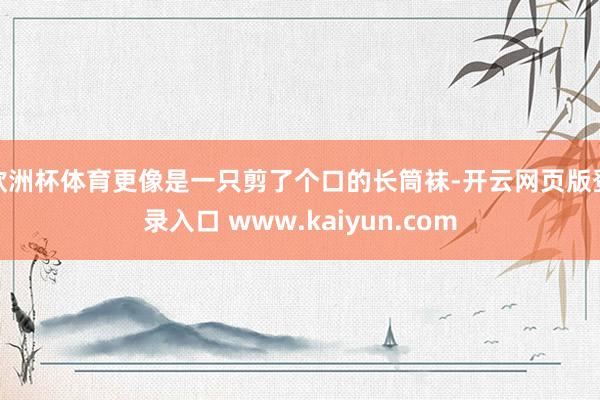 欧洲杯体育更像是一只剪了个口的长筒袜-开云网页版登录入口 www.kaiyun.com