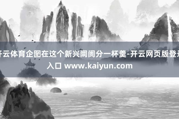 开云体育企图在这个新兴阛阓分一杯羹-开云网页版登录入口 www.kaiyun.com