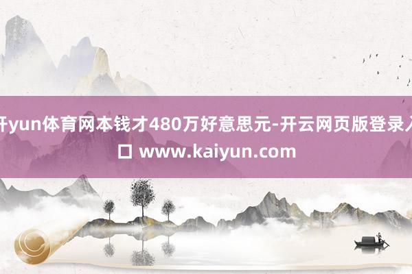开yun体育网本钱才480万好意思元-开云网页版登录入口 www.kaiyun.com