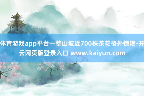 体育游戏app平台一整山坡近700株茶花格外惊艳-开云网页版登录入口 www.kaiyun.com
