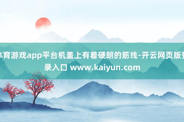 体育游戏app平台机盖上有着硬朗的筋线-开云网页版登录入口 www.kaiyun.com