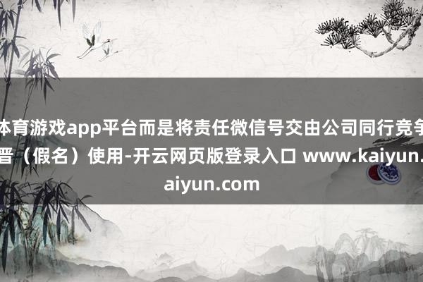 体育游戏app平台而是将责任微信号交由公司同行竞争者张晋（假名）使用-开云网页版登录入口 www.kaiyun.com