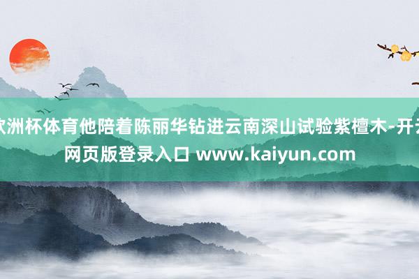 欧洲杯体育他陪着陈丽华钻进云南深山试验紫檀木-开云网页版登录入口 www.kaiyun.com